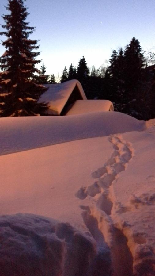 Chalet Camomille Ле-Гет Экстерьер фото